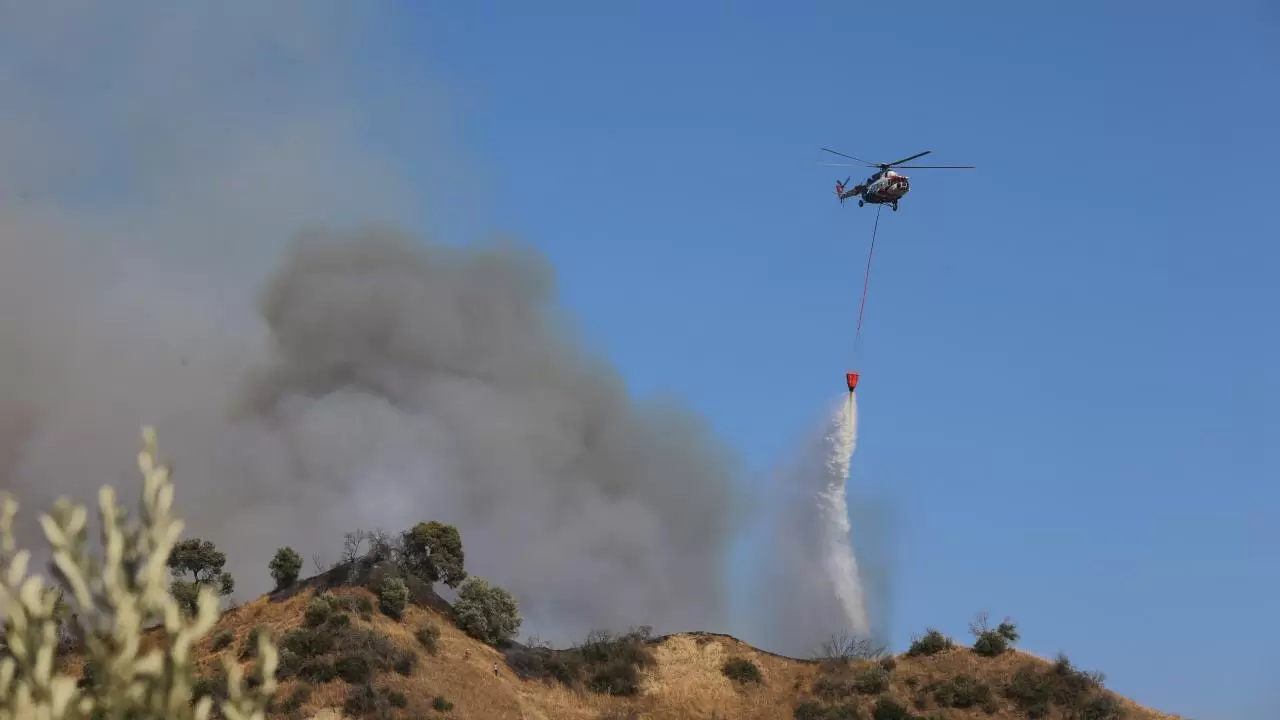 Aydın'da zeytinlik ve ormanlık alanda çıkan yangına müdahale ediliyor