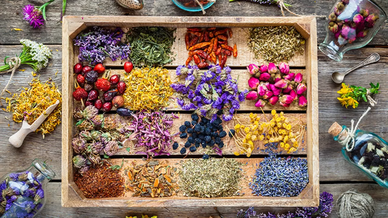 12 maddede hangi bitki çayı neye yarar? - Acıbadem Hayat