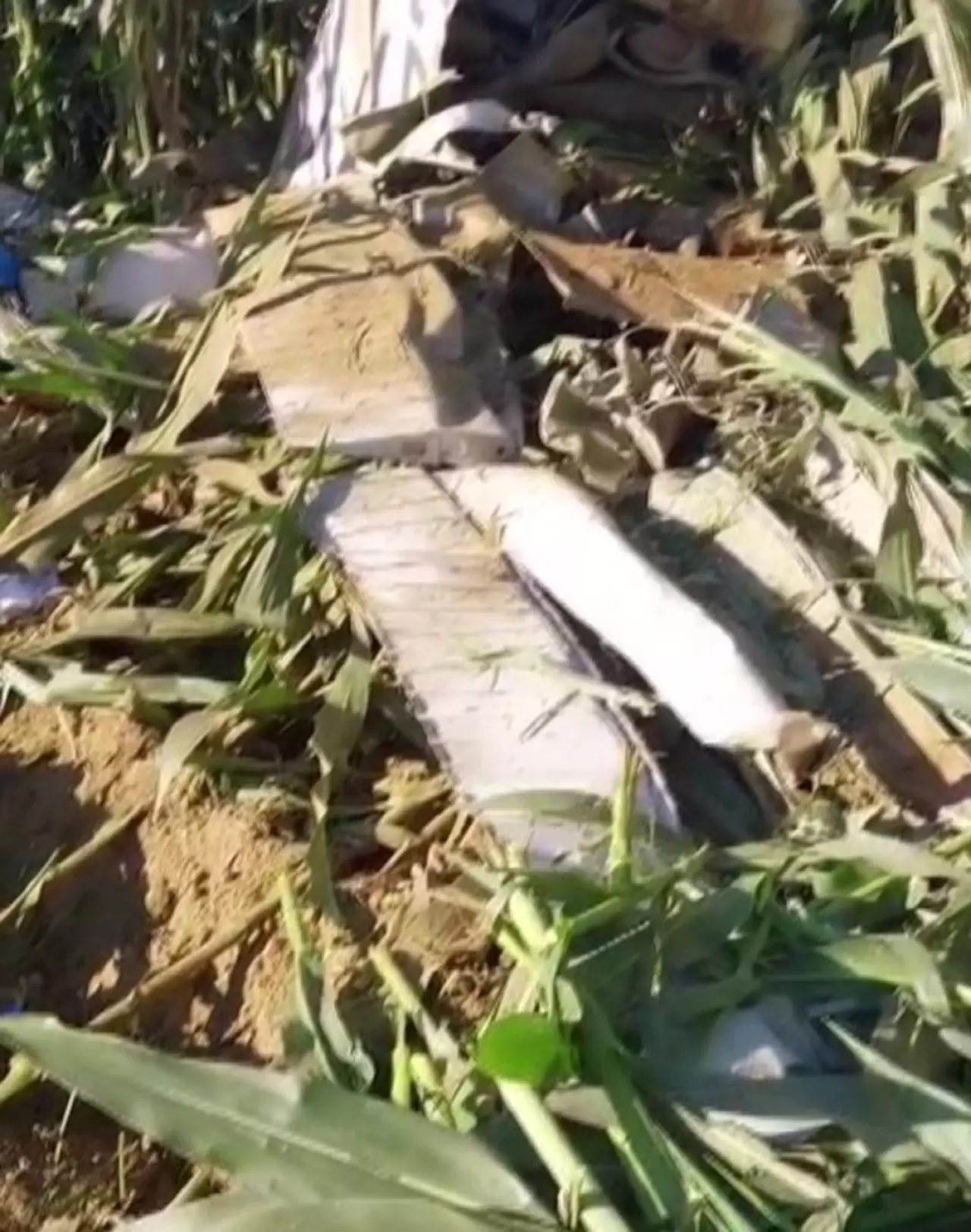 SON DAKİKA | İzmir de helikopter düştü! Pilot hayatını kaybetti: İlk görüntüler geldi 1