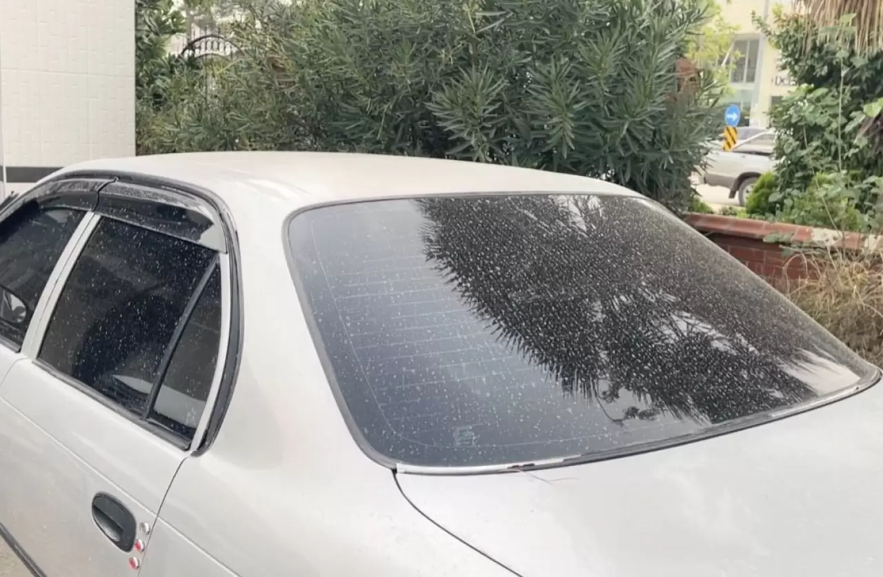 Araçlar tozla kaplandı