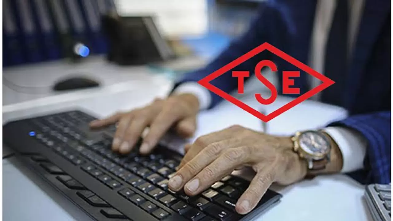 TSE işe alım