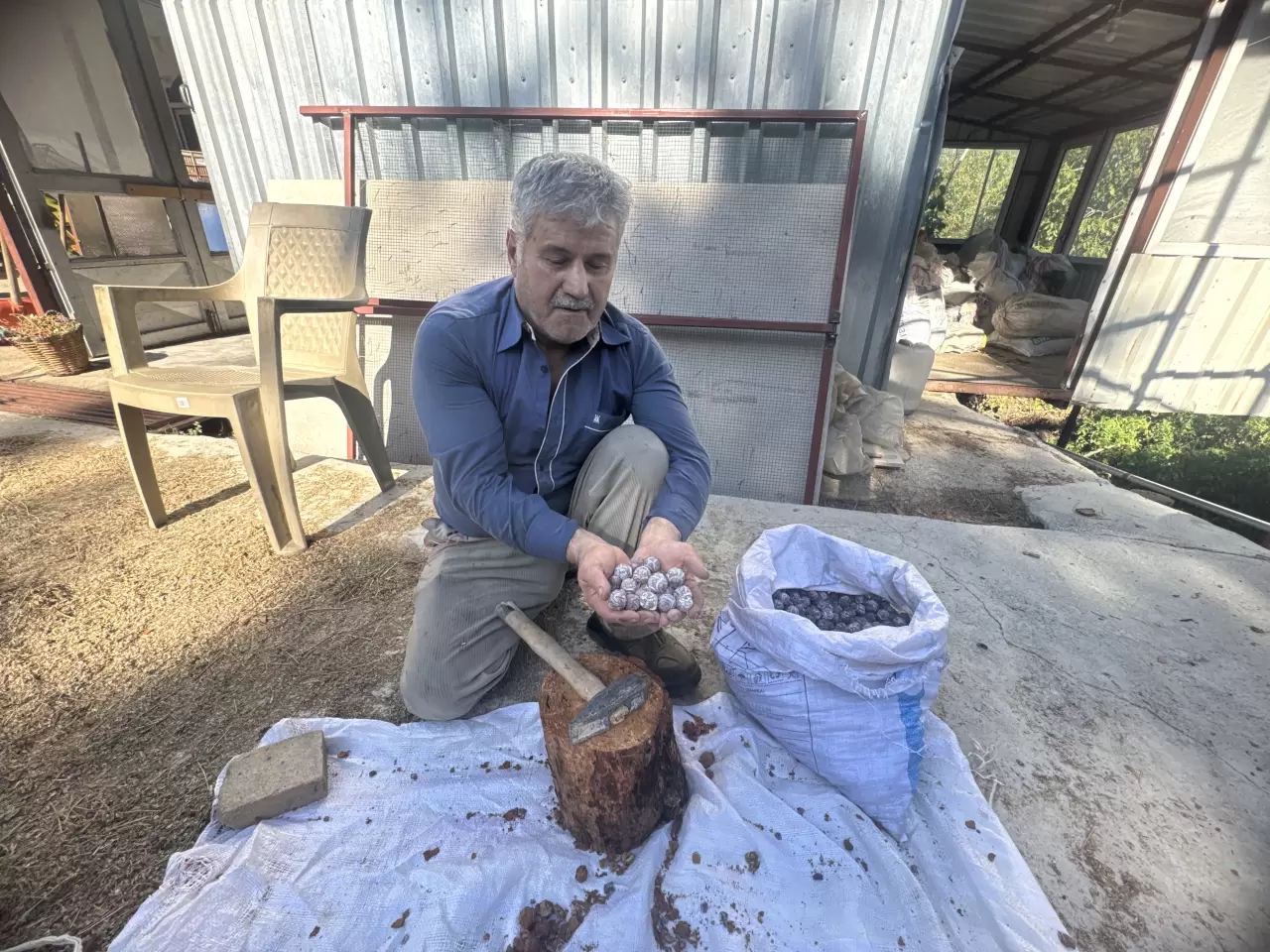 Andız pekmezi üretimi