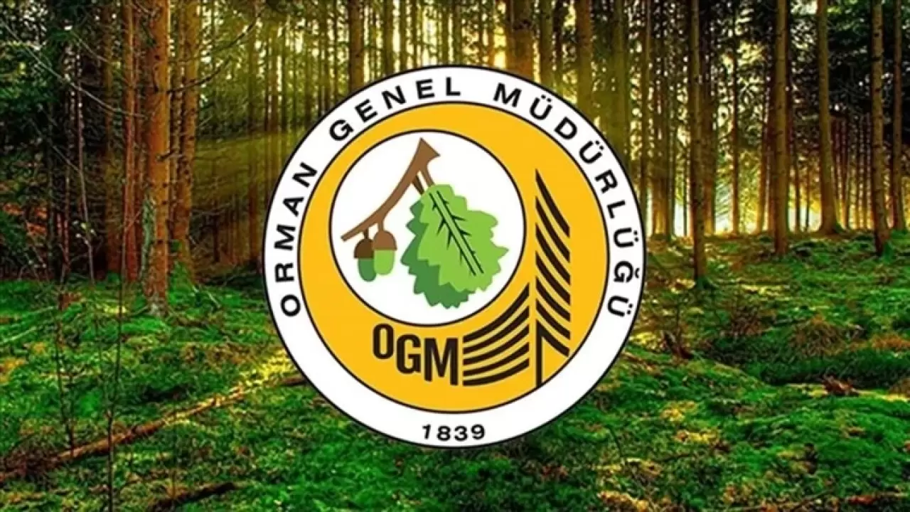 OGM